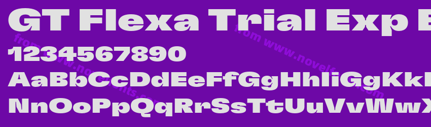 GT Flexa Trial Exp BlPreview GT Flexa Trial Exp BlPreview