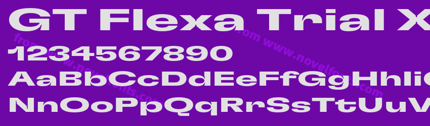 GT Flexa Trial X Exp BdPreview GT Flexa Trial X Exp BdPreview