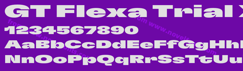 GT Flexa Trial X Exp BlPreview GT Flexa Trial X Exp BlPreview