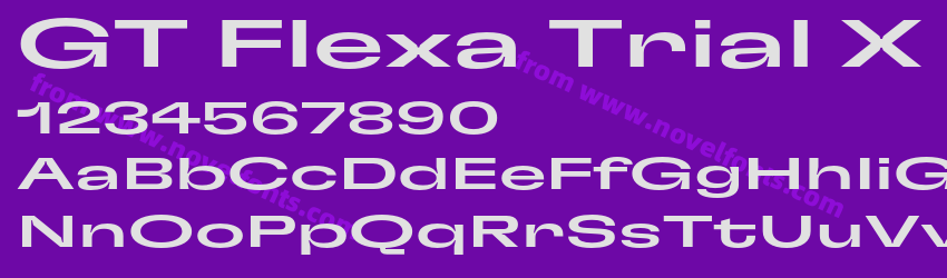 GT Flexa Trial X Exp MdPreview GT Flexa Trial X Exp MdPreview