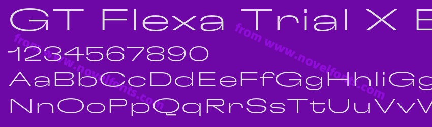 GT Flexa Trial X Exp ThPreview GT Flexa Trial X Exp ThPreview