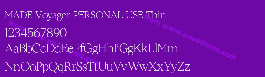 MADE Voyager PERSONAL USE ThinPreview