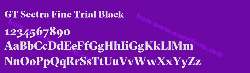 GT Sectra Fine Trial BlackPreview GT Sectra Fine Trial BlackPreview