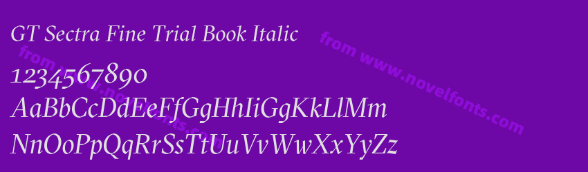 GT Sectra Fine Trial Book ItalicPreview