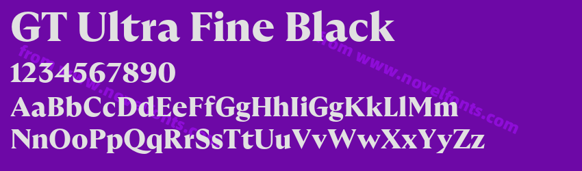 GT Ultra Fine BlackPreview