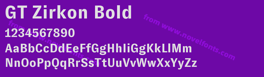 GT Zirkon BoldPreview GT Zirkon BoldPreview