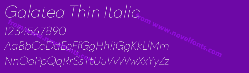 Galatea Thin ItalicPreview