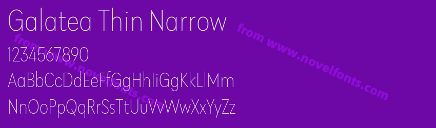 Galatea Thin NarrowPreview Galatea Thin NarrowPreview