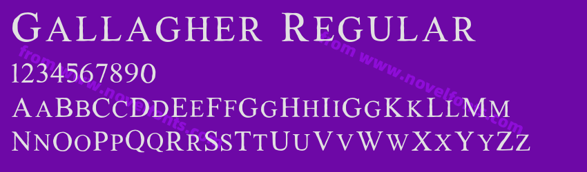Gallagher RegularPreview Gallagher RegularPreview