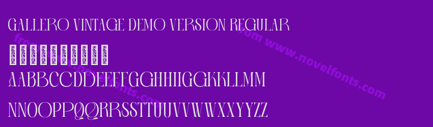 Gallero Vintage Demo Version RegularPreview Gallero Vintage Demo Version RegularPreview