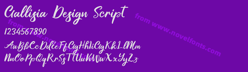 Gallisia Design ScriptPreview