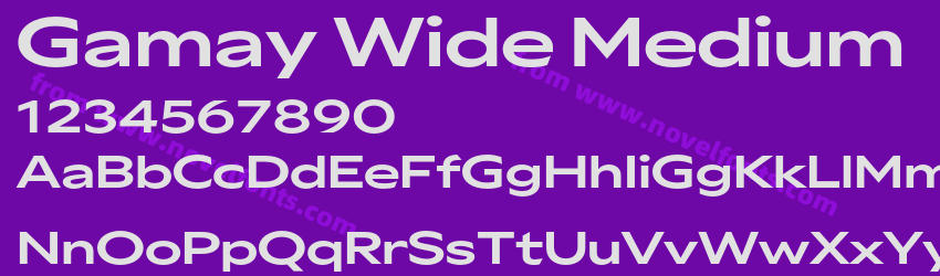 Gamay Wide MediumPreview Gamay Wide MediumPreview