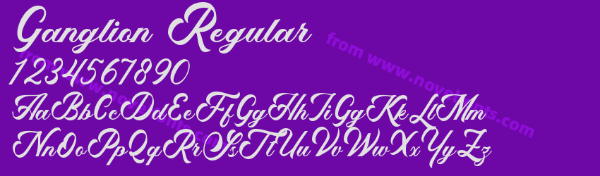 Ganglion RegularPreview Ganglion RegularPreview
