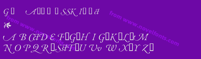 Garamond AlternateSSK ItalicPreview