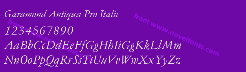 Garamond Antiqua Pro ItalicPreview