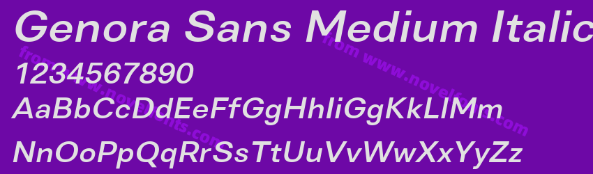 Genora Sans Medium ItalicPreview