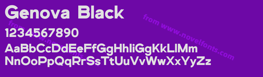 Genova BlackPreview