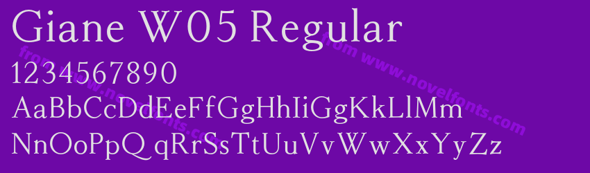 Giane W05 RegularPreview