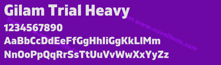 Gilam Trial HeavyPreview