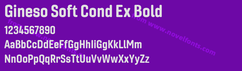 Gineso Soft Cond Ex BoldPreview Gineso Soft Cond Ex BoldPreview