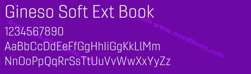 Gineso Soft Ext BookPreview Gineso Soft Ext BookPreview