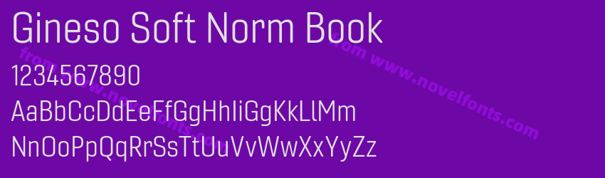 Gineso Soft Norm BookPreview Gineso Soft Norm BookPreview