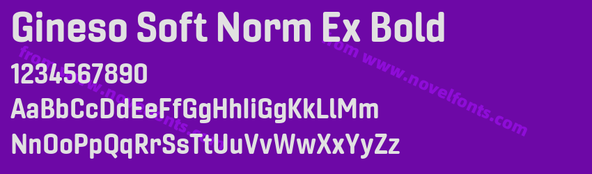 Gineso Soft Norm Ex BoldPreview Gineso Soft Norm Ex BoldPreview