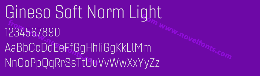 Gineso Soft Norm LightPreview Gineso Soft Norm LightPreview