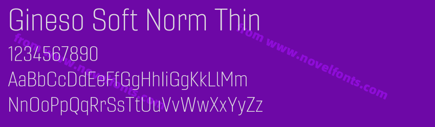 Gineso Soft Norm ThinPreview Gineso Soft Norm ThinPreview