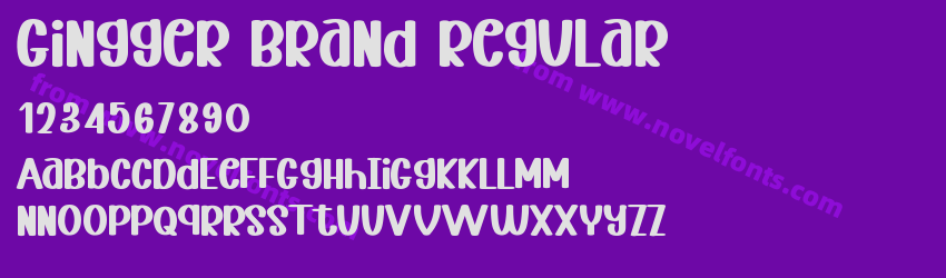 Gingger Brand RegularPreview Gingger Brand RegularPreview