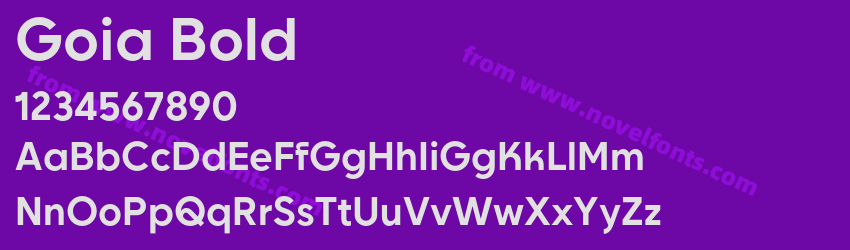 Goia BoldPreview Goia BoldPreview