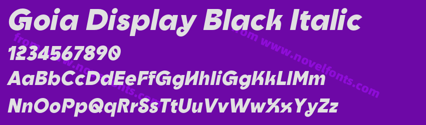 Goia Display Black ItalicPreview Goia Display Black ItalicPreview