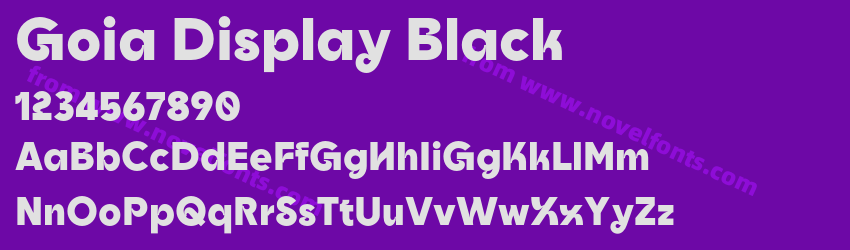 Goia Display BlackPreview Goia Display BlackPreview