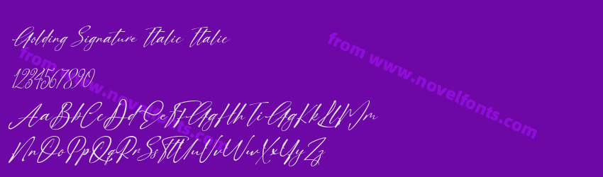 Golding Signature Italic ItalicPreview Golding Signature Italic ItalicPreview