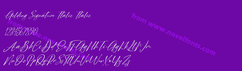 Golding Signature Italic ItalicPreview Golding Signature Italic ItalicPreview