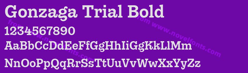 Gonzaga Trial BoldPreview