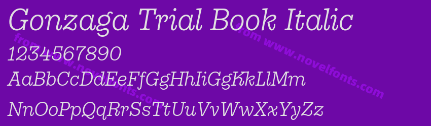 Gonzaga Trial Book ItalicPreview Gonzaga Trial Book ItalicPreview
