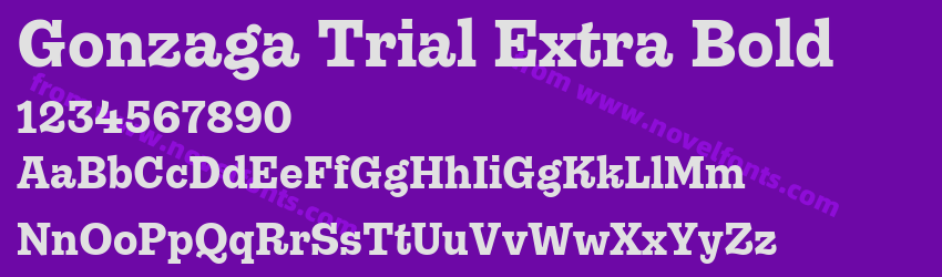Gonzaga Trial Extra BoldPreview Gonzaga Trial Extra BoldPreview