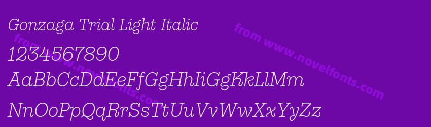 Gonzaga Trial Light ItalicPreview Gonzaga Trial Light ItalicPreview