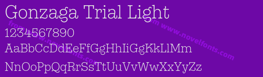 Gonzaga Trial LightPreview