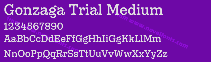 Gonzaga Trial MediumPreview Gonzaga Trial MediumPreview