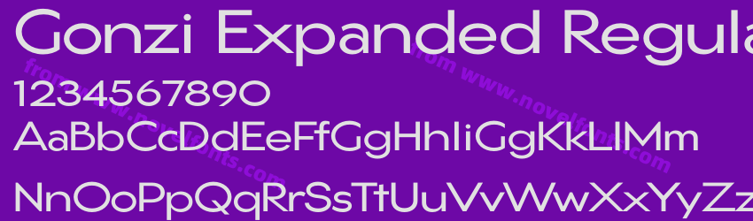Gonzi Expanded RegularPreview Gonzi Expanded RegularPreview