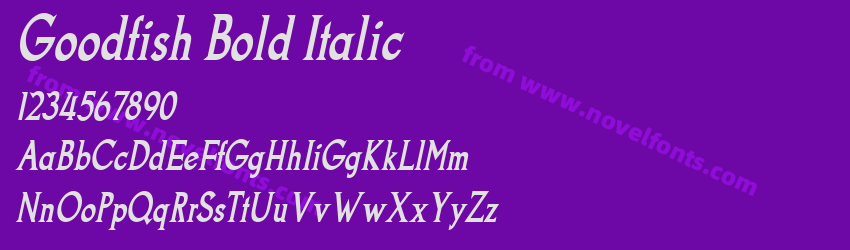 Goodfish Bold ItalicPreview