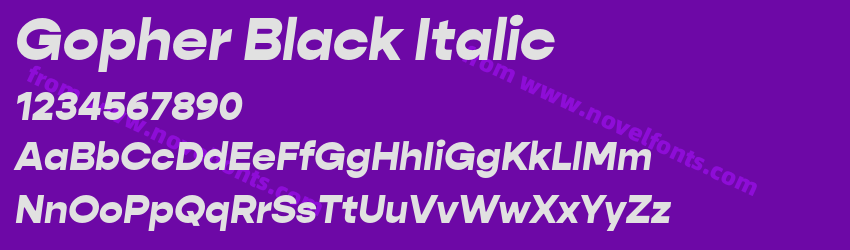 Gopher Black ItalicPreview Gopher Black ItalicPreview