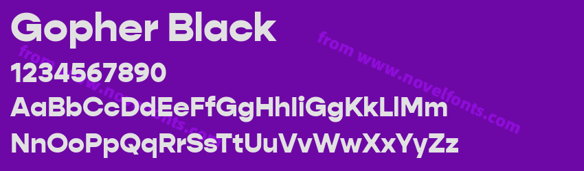 Gopher BlackPreview Gopher BlackPreview