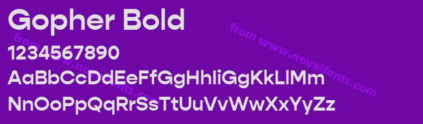 Gopher BoldPreview