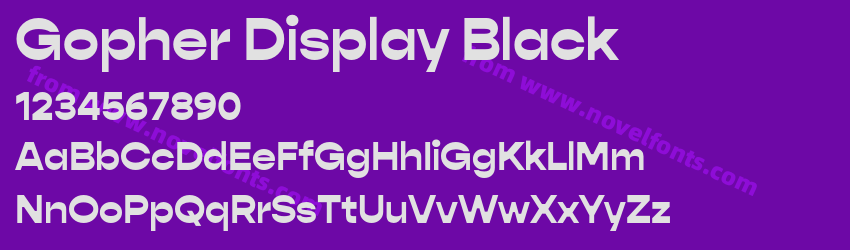 Gopher Display BlackPreview Gopher Display BlackPreview