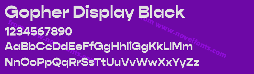 Gopher Display BlackPreview Gopher Display BlackPreview