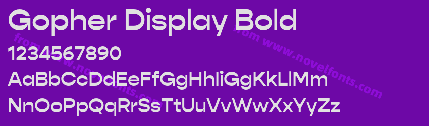 Gopher Display BoldPreview