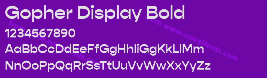 Gopher Display BoldPreview